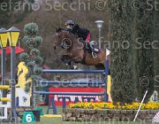 Bologni F Trifoglio TosTour 2013- S5 7228 : Arezzo Equestrian Centre, Bologni Filippo, Toscana Tour 2013, Trifoglio di San Calogero, foto di Stefano Secchi ©